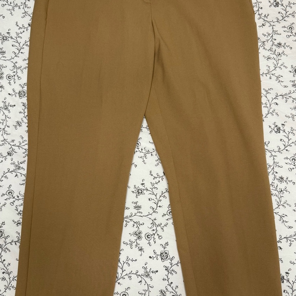 J. Crew Women's Tan Chinos